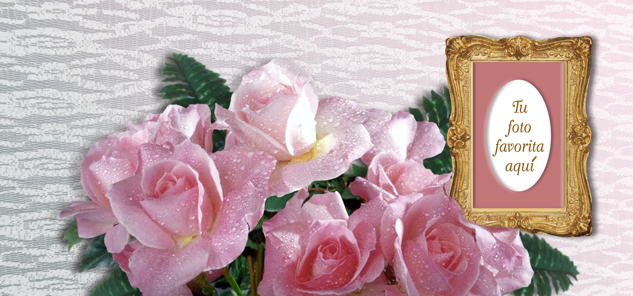 Bouquet Of Roses Orchid (Spanish)